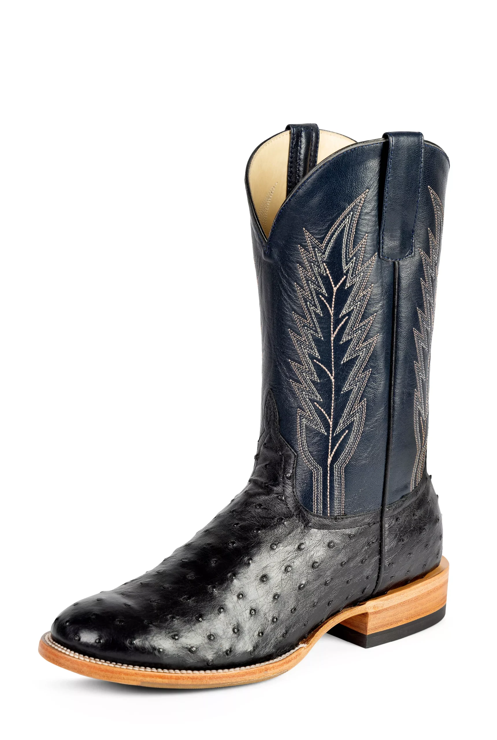Black Full Quill Ostrich – HP6016