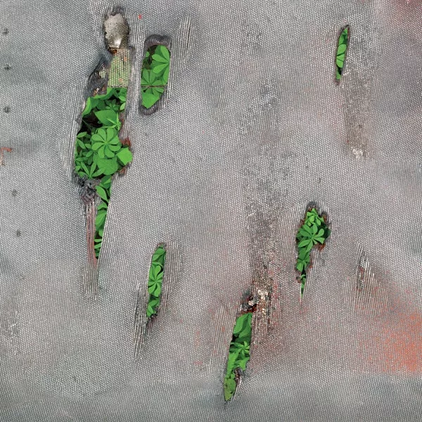 Koreless – Agor