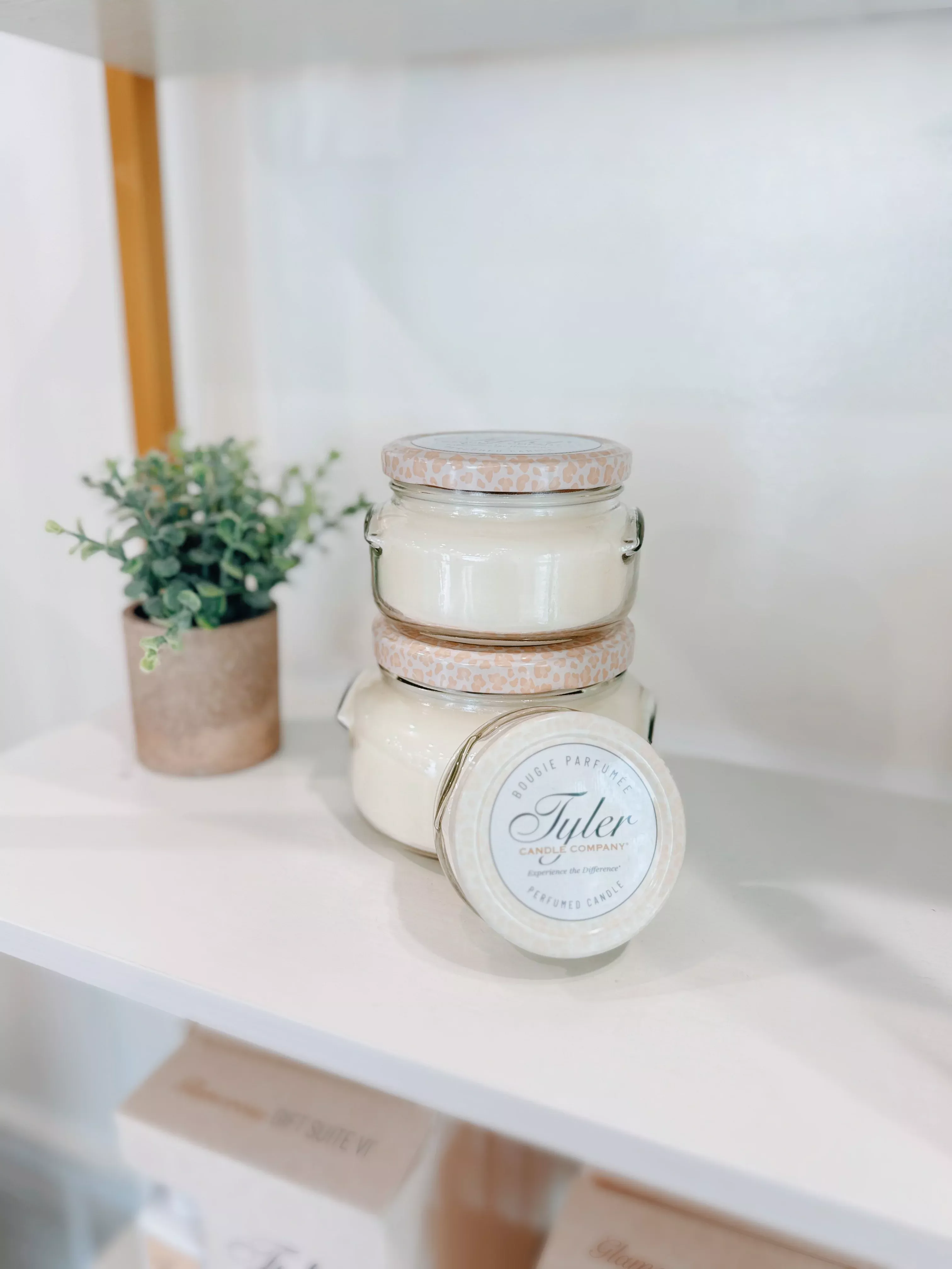 Tyler Candle 11oz Candle- Regal