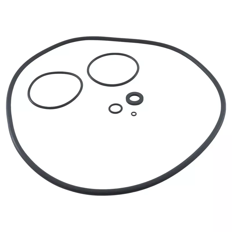 Zodiac R0466300 O-Ring Set